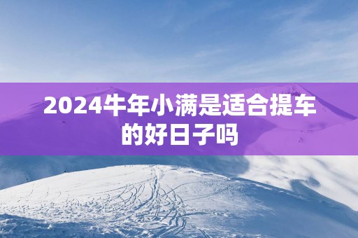 2025蛇年小满是适合提车的好日子吗