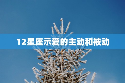 12星座示爱的主动和被动