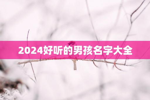 2025好听的男孩名字大全