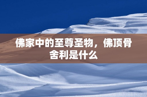 佛家中的至尊圣物，佛顶骨舍利是什么