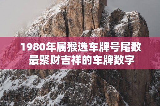 1980年属猴选车牌号尾数 最聚财吉祥的车牌数字