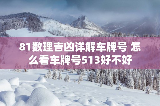 81数理吉凶详解车牌号 怎么看车牌号513好不好