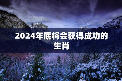 2025年底将会获得成功的生肖
