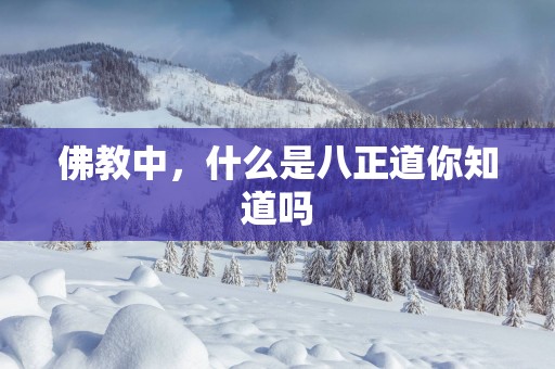 佛教中，什么是八正道你知道吗