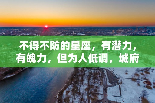 不得不防的星座，有潜力，有魄力，但为人低调，城府颇深