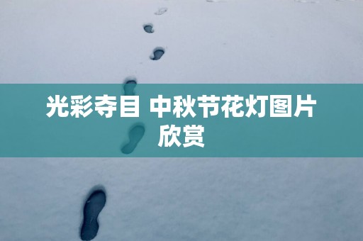 光彩夺目 中秋节花灯图片欣赏