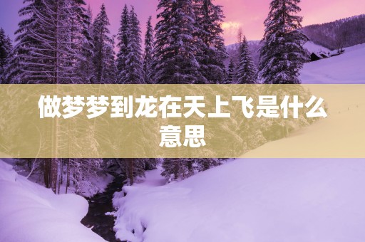做梦梦到龙在天上飞是什么意思