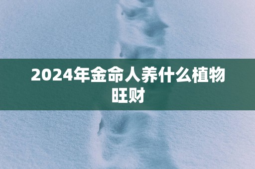 2025年金命人养什么植物旺财