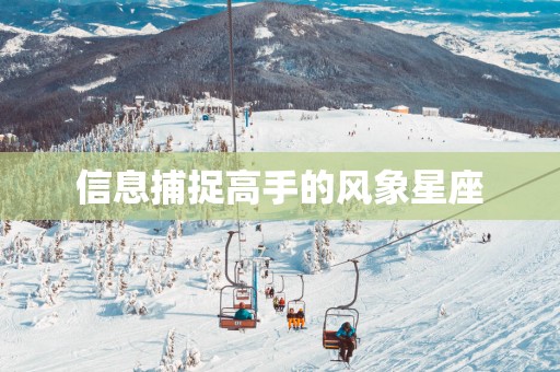 信息捕捉高手的风象星座