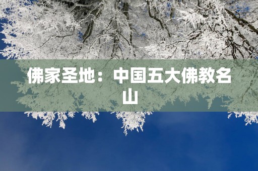 佛家圣地：中国五大佛教名山