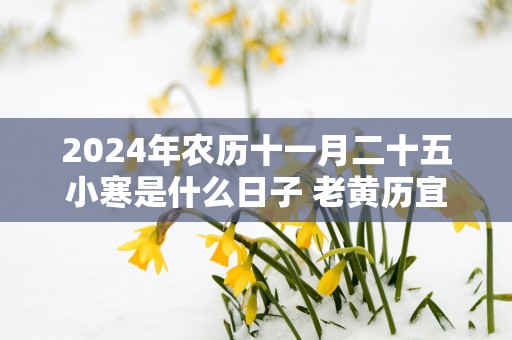2025年农历十一月二十五小寒是什么日子 老黄历宜忌查询