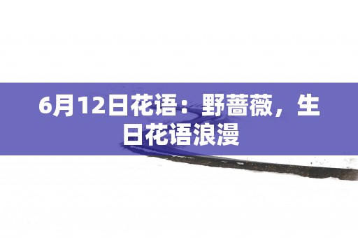 6月12日花语：野蔷薇，生日花语浪漫