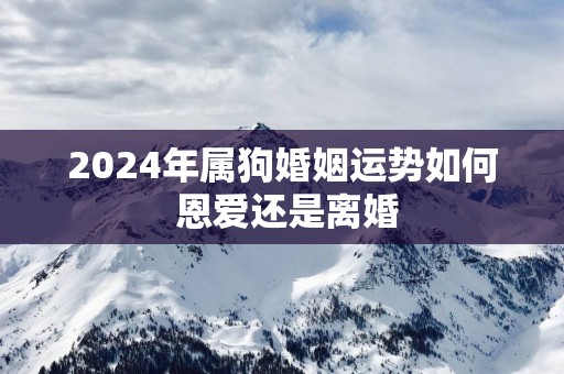 2025年属狗婚姻运势如何 恩爱还是离婚