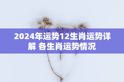 2025年运势12生肖运势详解 各生肖运势情况