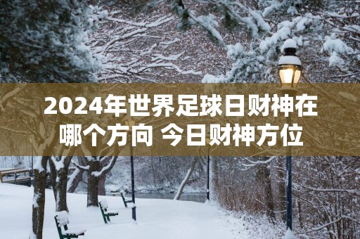 2025年世界足球日财神在哪个方向 今日财神方位