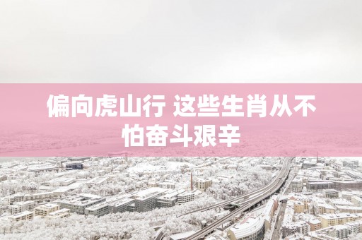 偏向虎山行 这些生肖从不怕奋斗艰辛