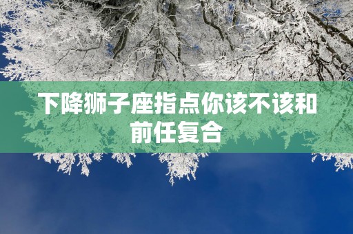 下降狮子座指点你该不该和前任复合