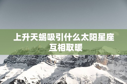 上升天蝎吸引什么太阳星座  互相取暖