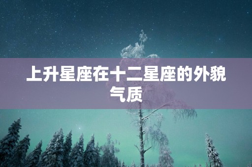 上升星座在十二星座的外貌气质