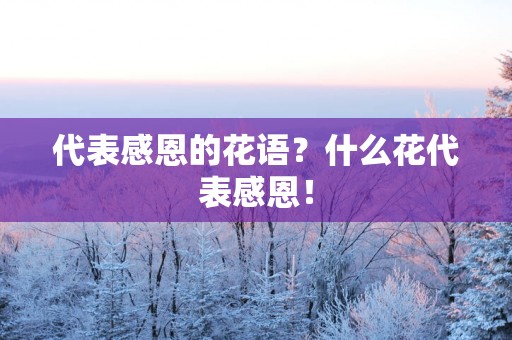 代表感恩的花语？什么花代表感恩！