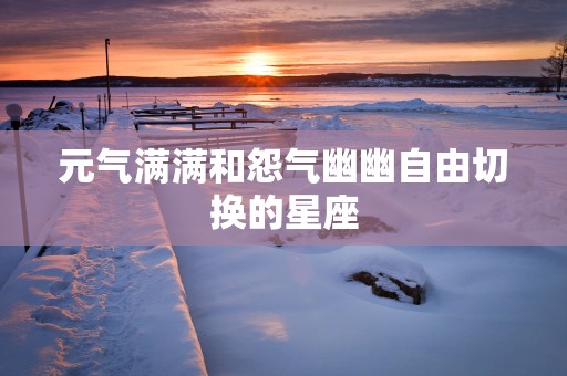 元气满满和怨气幽幽自由切换的星座
