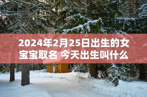 2025年2月25日出生的女宝宝取名 今天出生叫什么名字好