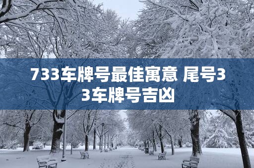 733车牌号最佳寓意 尾号33车牌号吉凶