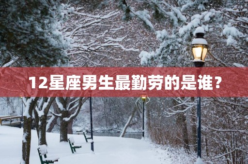 12星座男生最勤劳的是谁？