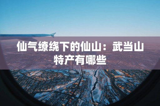 仙气缭绕下的仙山：武当山特产有哪些