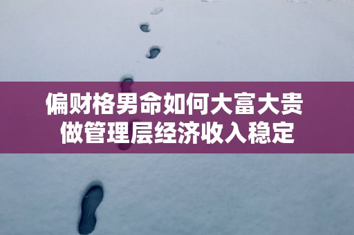 偏财格男命如何大富大贵 做管理层经济收入稳定