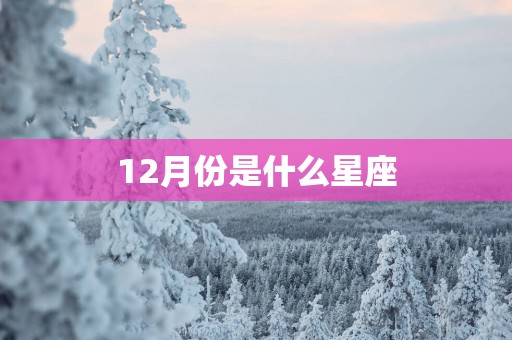 12月份是什么星座