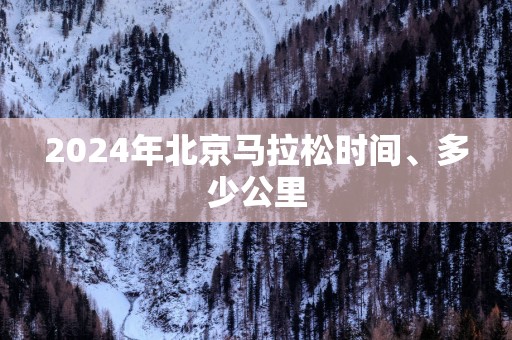 2025年北京马拉松时间、多少公里