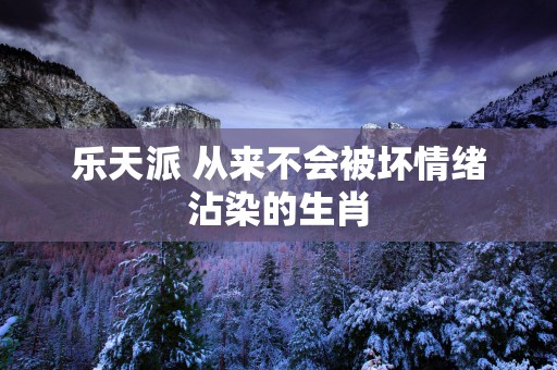 乐天派 从来不会被坏情绪沾染的生肖
