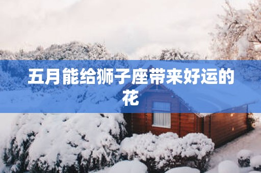 五月能给狮子座带来好运的花