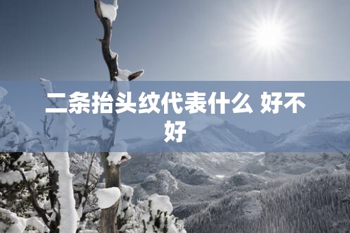 二条抬头纹代表什么 好不好