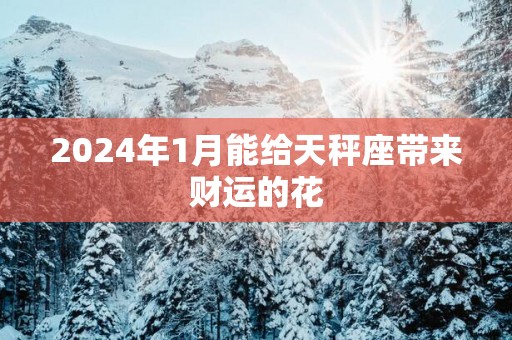 2025年1月能给天秤座带来财运的花