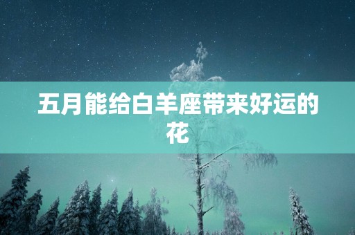 五月能给白羊座带来好运的花