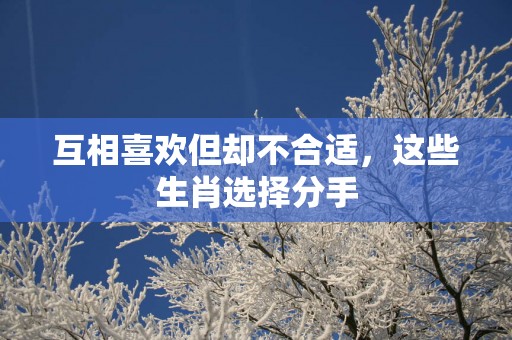 互相喜欢但却不合适，这些生肖选择分手