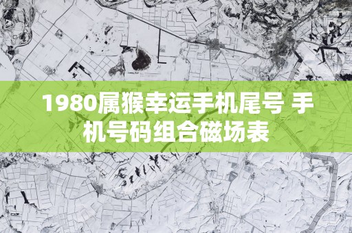 1980属猴幸运手机尾号 手机号码组合磁场表