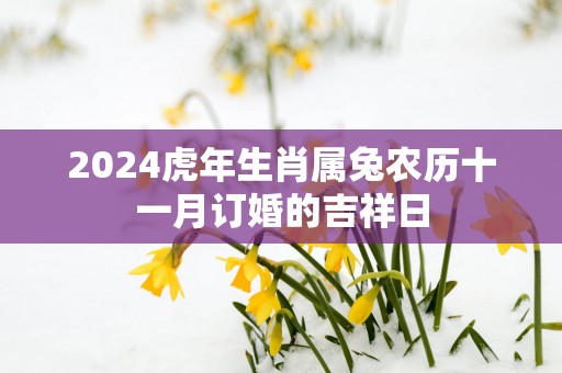 2025蛇年生肖属兔农历十一月订婚的吉祥日