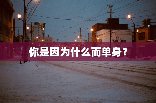 你是因为什么而单身？