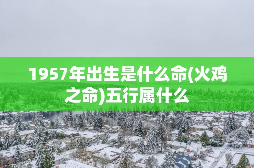 1957年出生是什么命(火鸡之命)五行属什么
