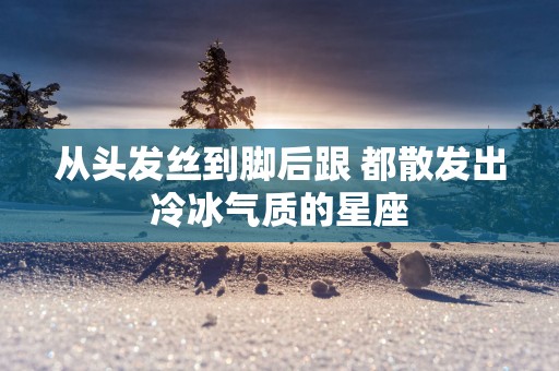 从头发丝到脚后跟 都散发出冷冰气质的星座