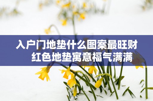 入户门地垫什么图案最旺财    红色地垫寓意福气满满