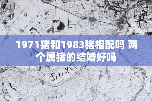 1971猪和1983猪相配吗 两个属猪的结婚好吗