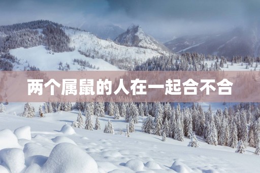 两个属鼠的人在一起合不合