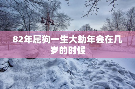 82年属狗一生大劫年会在几岁的时候