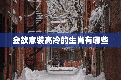 会故意装高冷的生肖有哪些