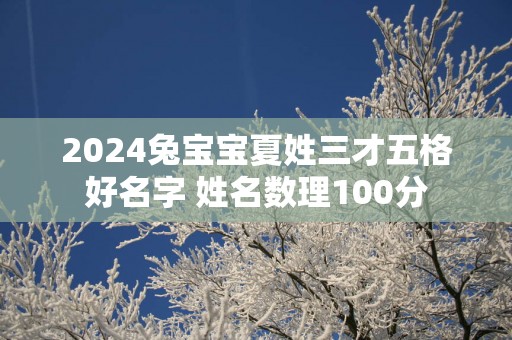 2025兔宝宝夏姓三才五格好名字 姓名数理100分