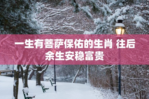 一生有菩萨保佑的生肖 往后余生安稳富贵